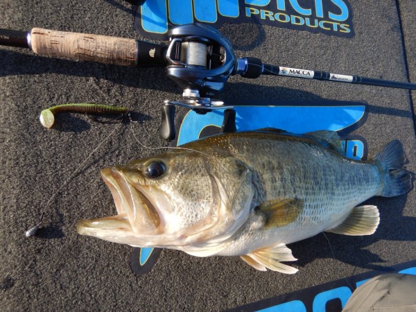 hideup 永野総一朗 ブログ写真 2018/05/10