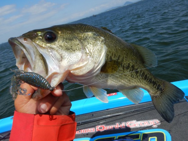 hideup 永野総一朗 ブログ写真 2018/05/10