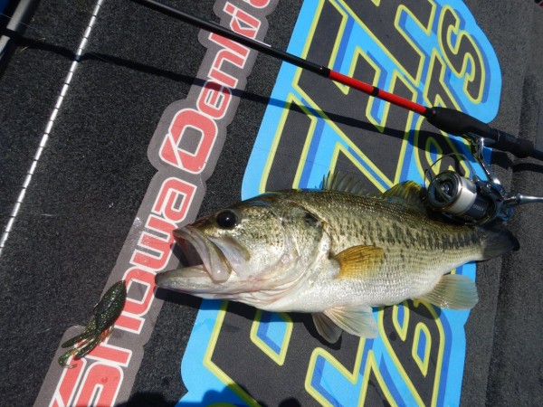 hideup 永野総一朗 ブログ写真 2018/05/14