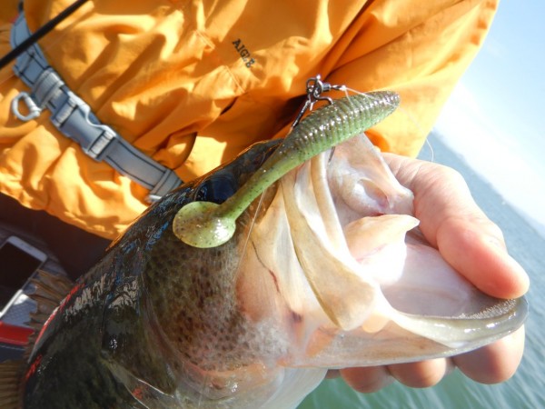 hideup 永野総一朗 ブログ写真 2018/05/14