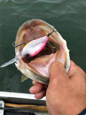 hideup 永野総一朗 ブログ写真 2018/05/14