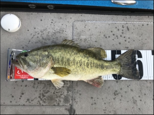 hideup 永野総一朗 ブログ写真 2018/05/14