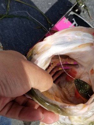 hideup 永野総一朗 ブログ写真 2018/05/14