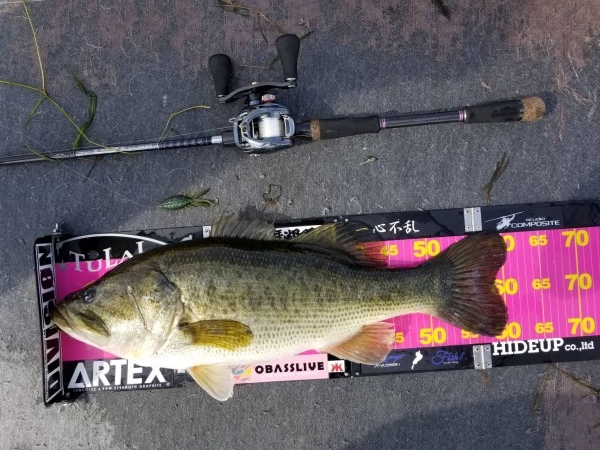 hideup 永野総一朗 ブログ写真 2018/05/14