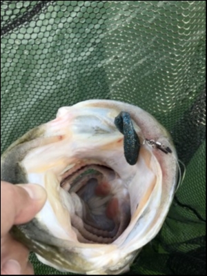 hideup 永野総一朗 ブログ写真 2018/05/14