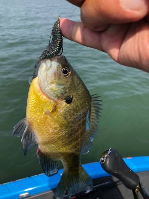 hideup 永野総一朗 ブログ写真 2018/05/16