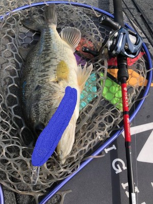 hideup 永野総一朗 ブログ写真 2018/05/17