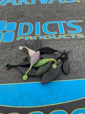 hideup 永野総一朗 ブログ写真 2018/05/19