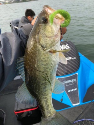 hideup 永野総一朗 ブログ写真 2018/05/19