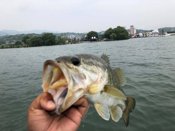 hideup 永野総一朗 ブログ写真 2018/05/19