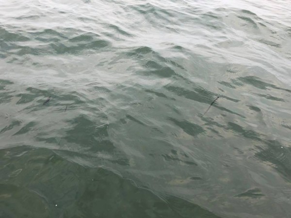 hideup 永野総一朗 ブログ写真 2018/05/19