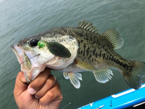 hideup 永野総一朗 ブログ写真 2018/05/20