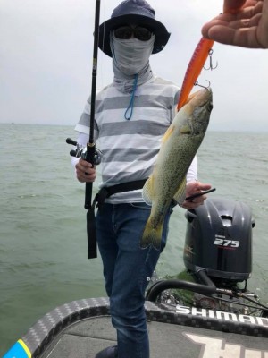 hideup 永野総一朗 ブログ写真 2018/05/20