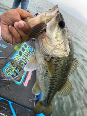 hideup 永野総一朗 ブログ写真 2018/05/20