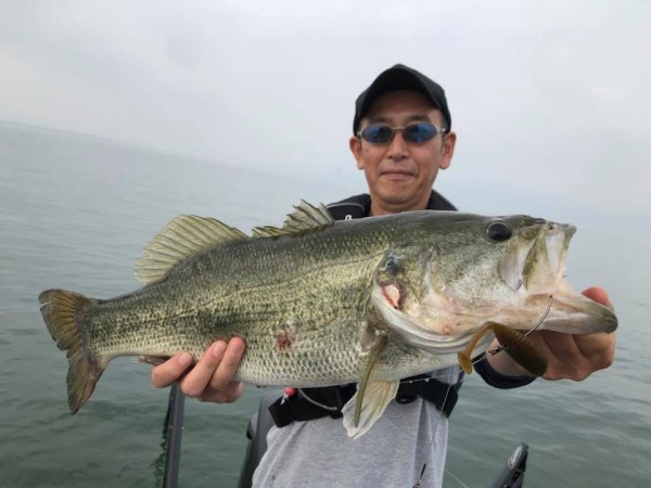 hideup 永野総一朗 ブログ写真 2018/05/20