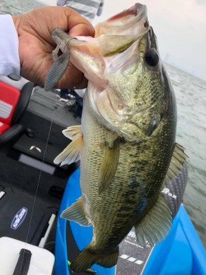 hideup 永野総一朗 ブログ写真 2018/05/20