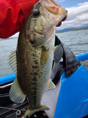 hideup 永野総一朗 ブログ写真 2018/05/23