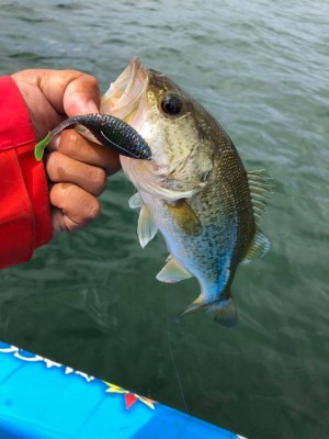 hideup 永野総一朗 ブログ写真 2018/05/23