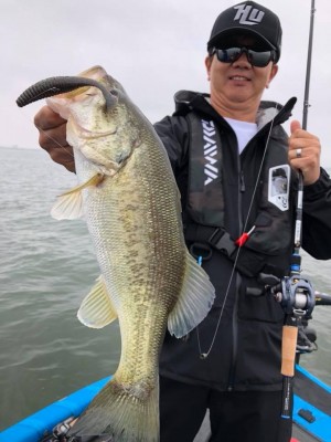 hideup 永野総一朗 ブログ写真 2018/06/01