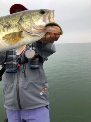 hideup 永野総一朗 ブログ写真 2018/06/01