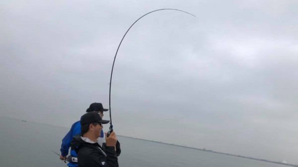 hideup 永野総一朗 ブログ写真 2018/06/01