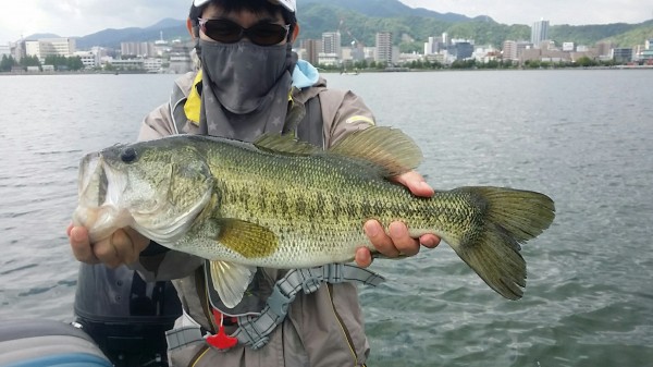 hideup 永野総一朗 ブログ写真 2018/06/01