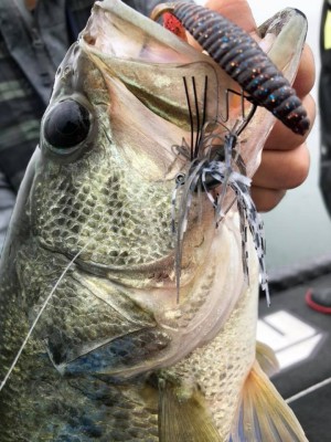 hideup 永野総一朗 ブログ写真 2018/06/01