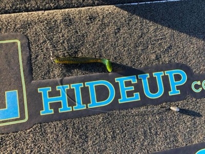 hideup 永野総一朗 ブログ写真 2018/06/01