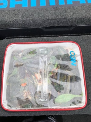 hideup 永野総一朗 ブログ写真 2018/06/01