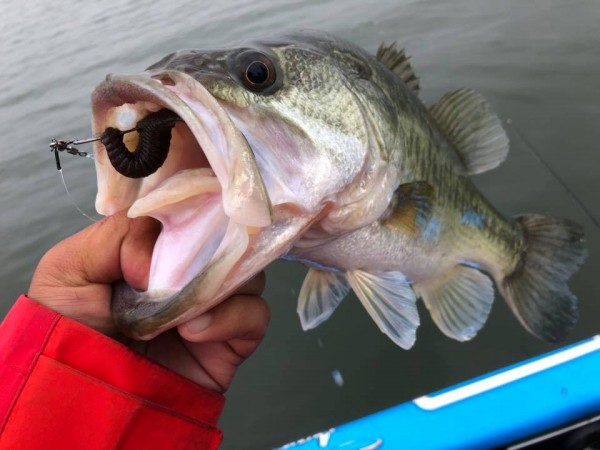 hideup 永野総一朗 ブログ写真 2018/06/01