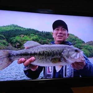 hideup 永野総一朗 ブログ写真 2018/06/01