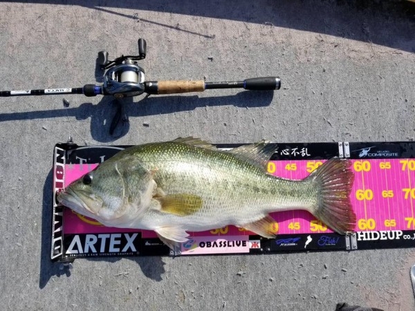 hideup 永野総一朗 ブログ写真 2018/06/03