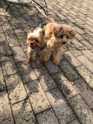 hideup 永野総一朗 ブログ写真 2018/06/03