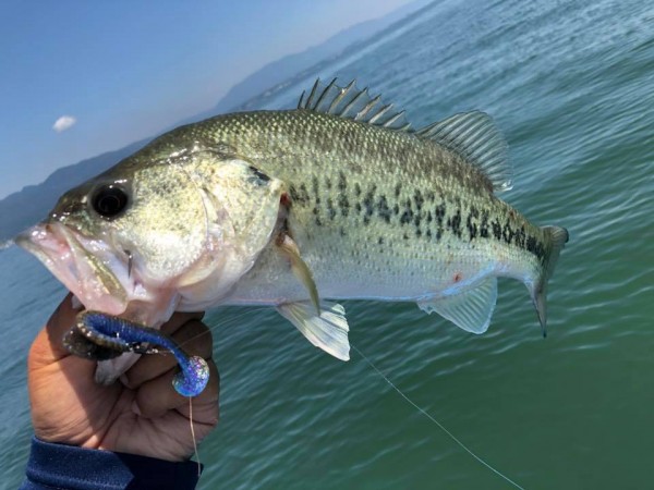 hideup 永野総一朗 ブログ写真 2018/06/03