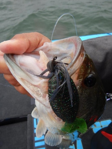 hideup 永野総一朗 ブログ写真 2018/06/06