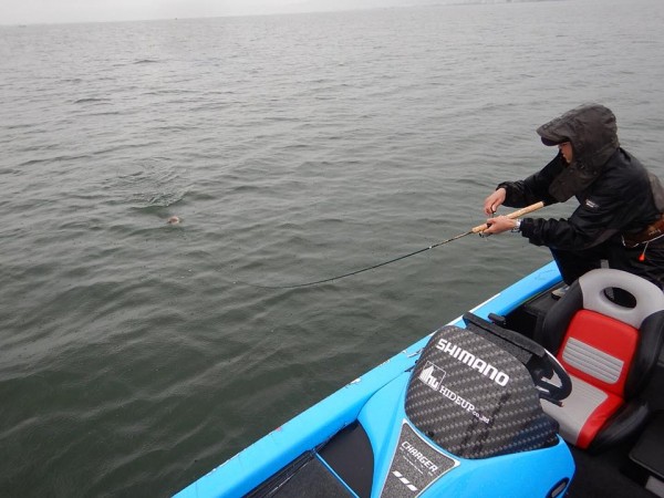 hideup 永野総一朗 ブログ写真 2018/06/06