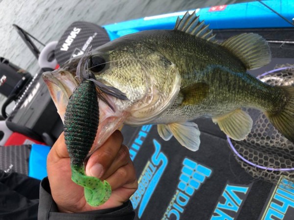 hideup 永野総一朗 ブログ写真 2018/06/06