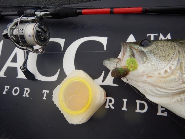 hideup 永野総一朗 ブログ写真 2018/06/06