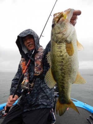 hideup 永野総一朗 ブログ写真 2018/06/06