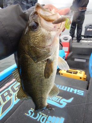 hideup 永野総一朗 ブログ写真 2018/06/06