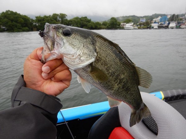 hideup 永野総一朗 ブログ写真 2018/06/06
