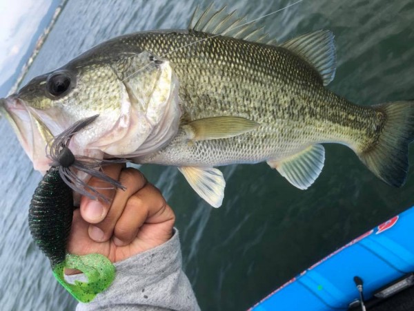 hideup 永野総一朗 ブログ写真 2018/06/08