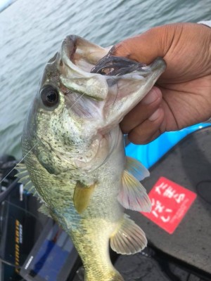 hideup 永野総一朗 ブログ写真 2018/06/08