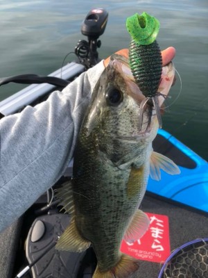 hideup 永野総一朗 ブログ写真 2018/06/08