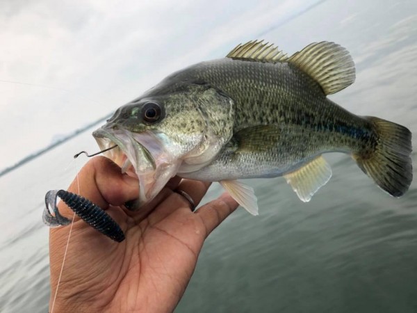 hideup 永野総一朗 ブログ写真 2018/06/11