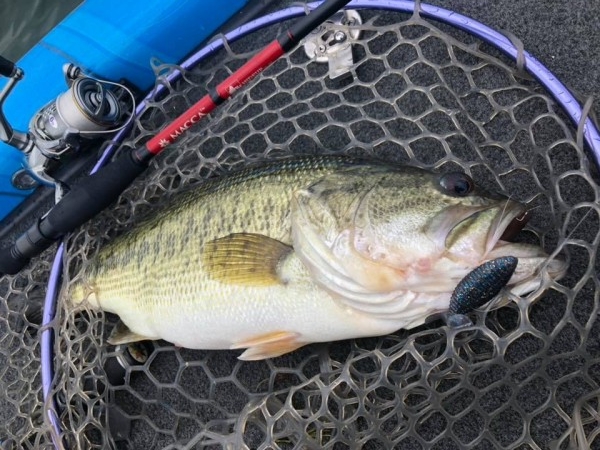 hideup 永野総一朗 ブログ写真 2018/06/11