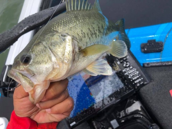 hideup 永野総一朗 ブログ写真 2018/06/12