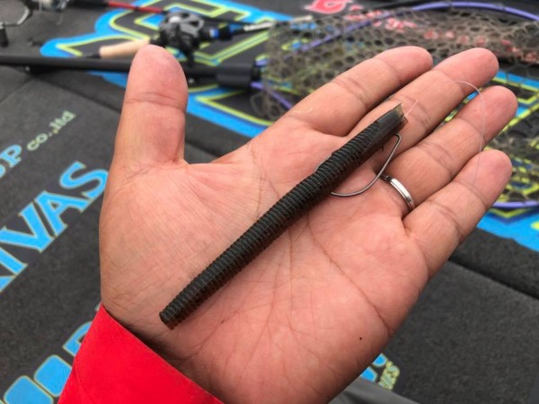 hideup 永野総一朗 ブログ写真 2018/06/12