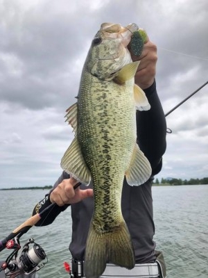 hideup 永野総一朗 ブログ写真 2018/06/12