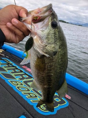 hideup 永野総一朗 ブログ写真 2018/06/14